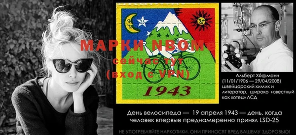 mdpv Белокуриха