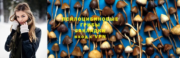 мет Богородск