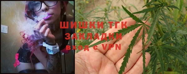 mdpv Белокуриха